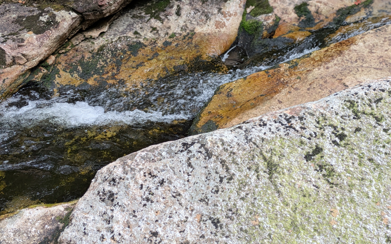 a freshwater stream flowing atop a colorful rock surface