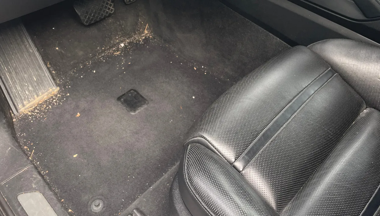 Very dirty upholstery due to simple use