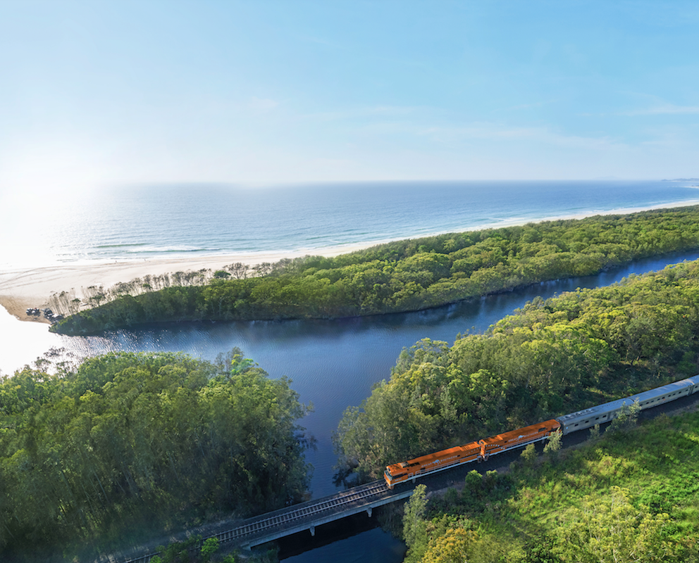 THE GREAT SOUTHERN - Black Friday Sale - 20% OFF