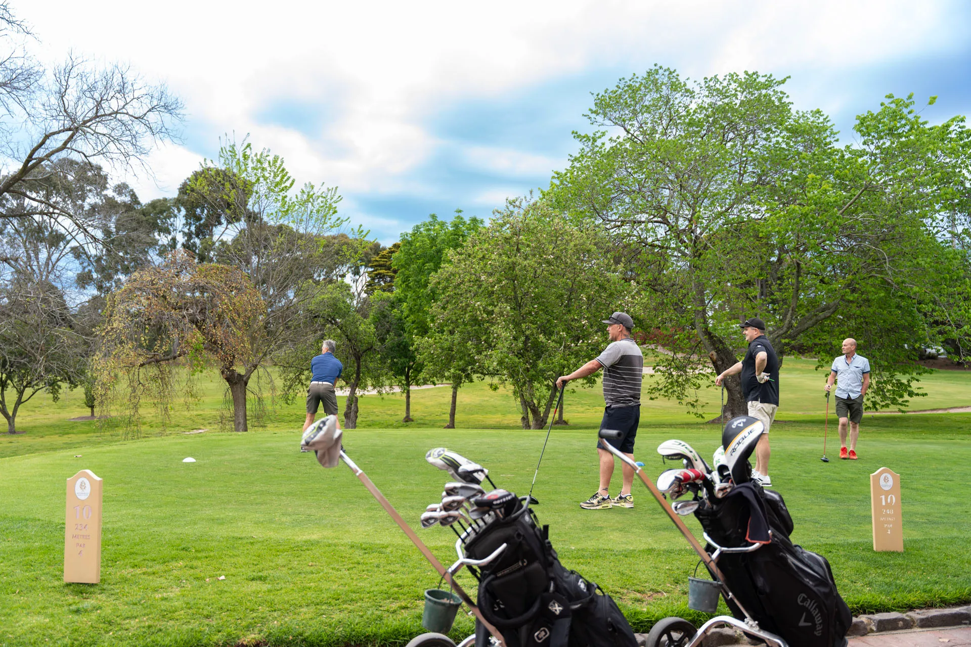 Four men playing golf on a green course with two golf bags and trolleys in the foreground surrounded by trees.