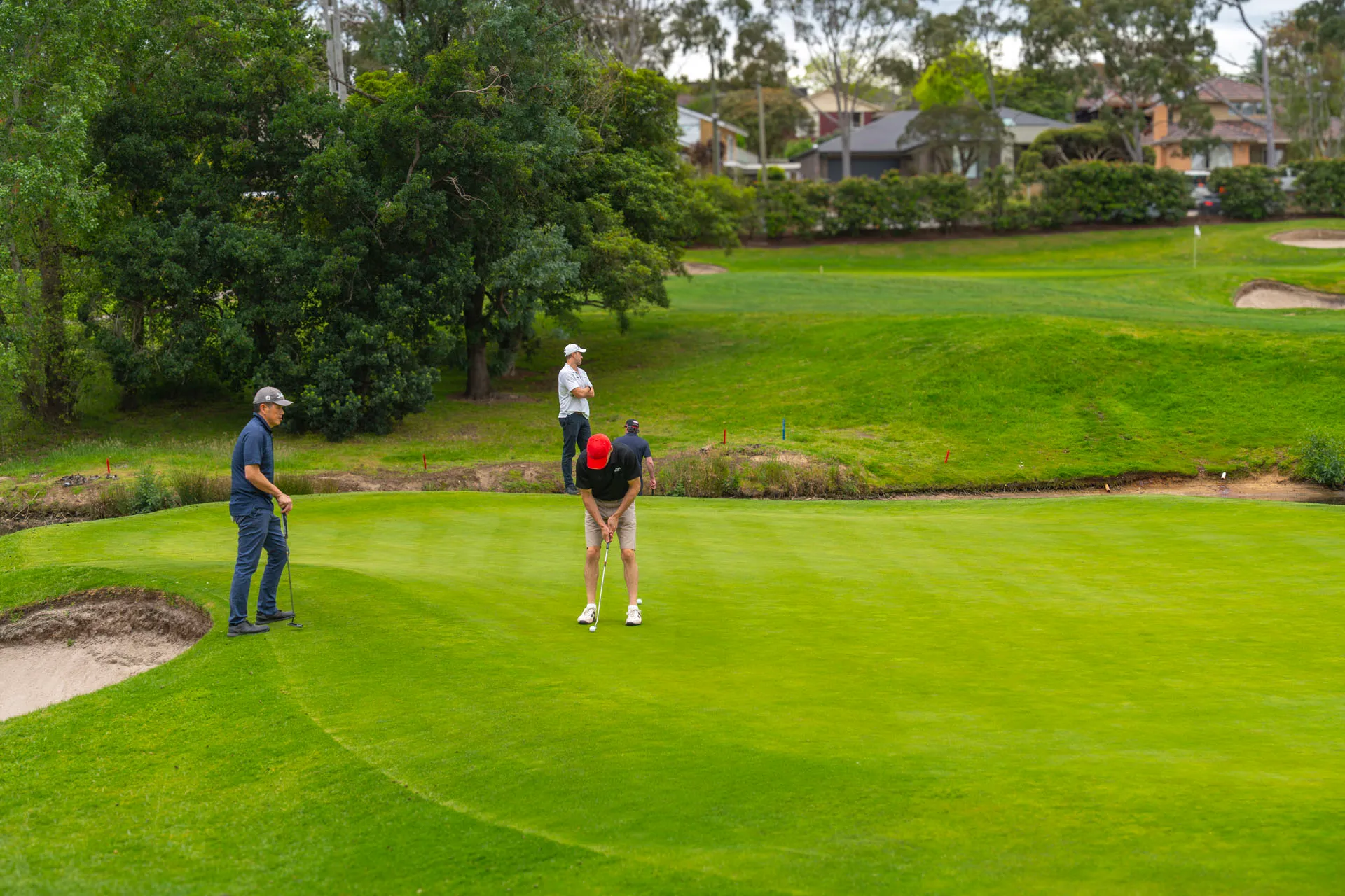 Four men playing golf on a green course with trees and houses in the background.