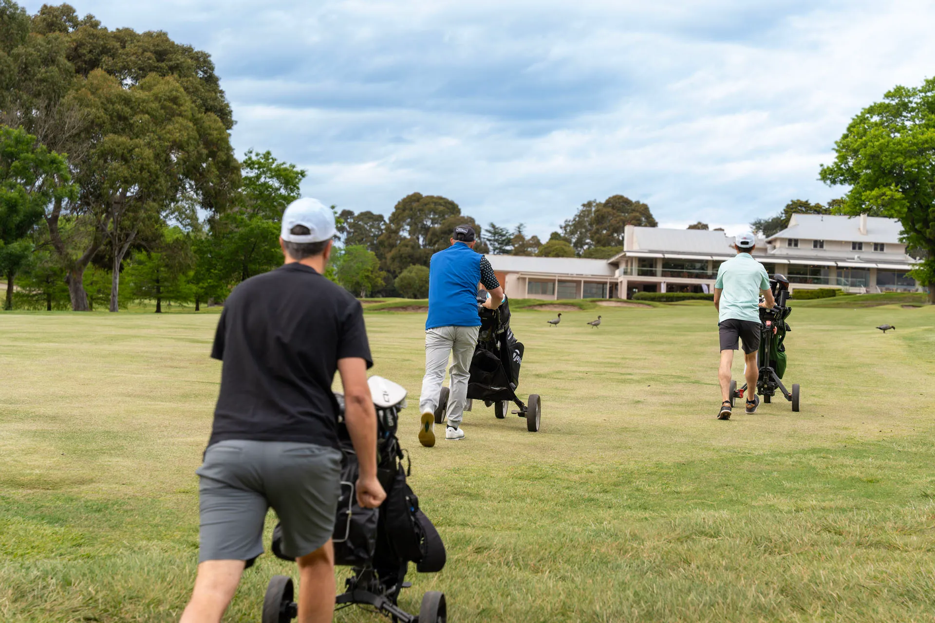Three men pushing golf carts with bags on a grassy golf course with a clubhouse and trees in the background.