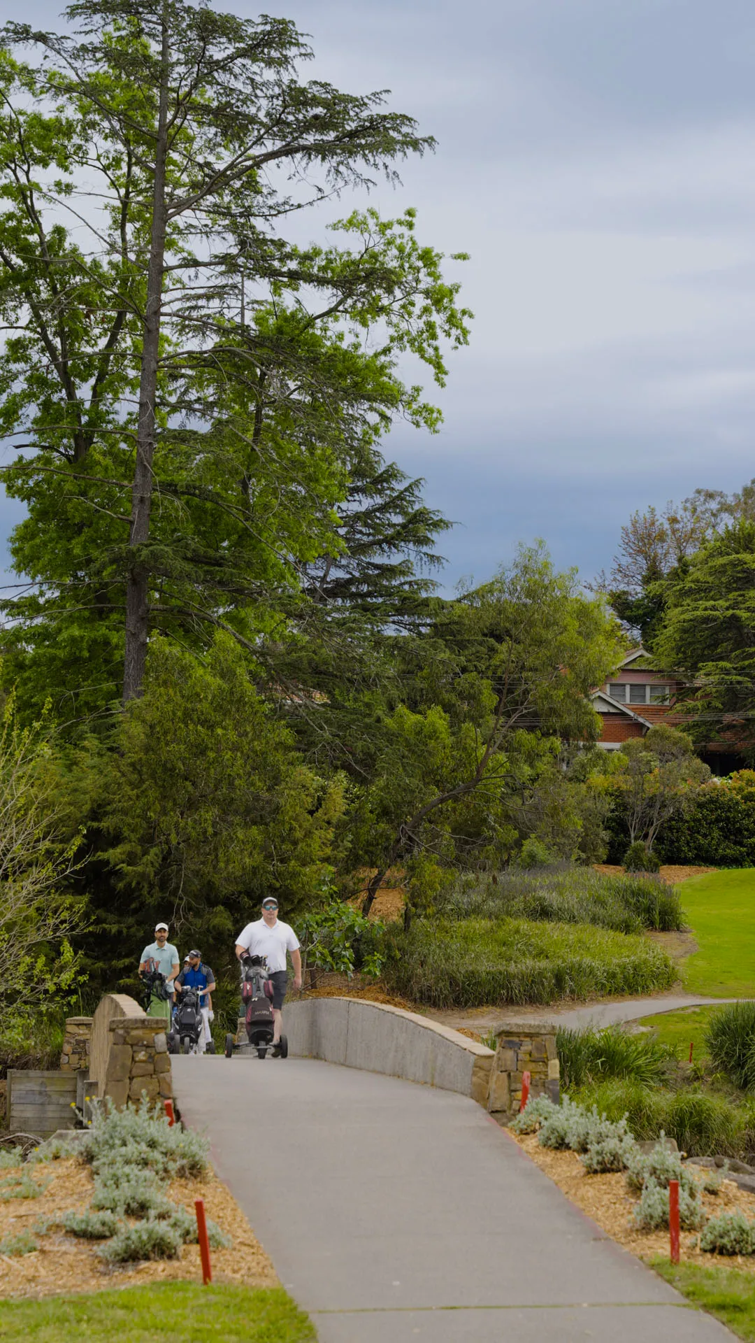 Three people walking on a paved path in a wooded park area, each pushing a golf bag cart.