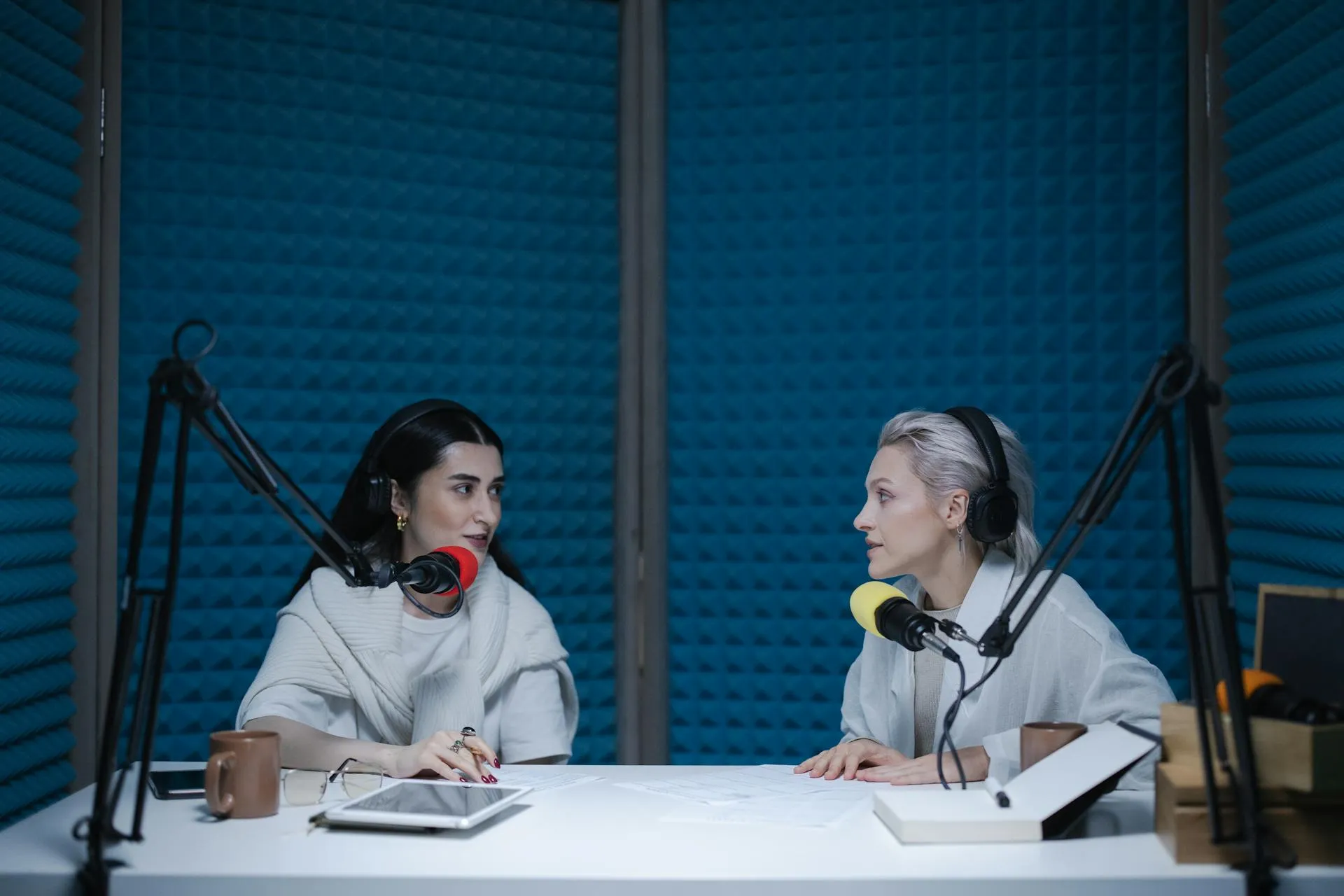 Two women sitting at a table in front of microphones.