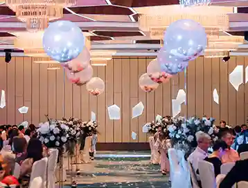 led balloon stand