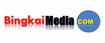 bingkaimedia.com