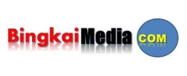 bingkaimedia.com