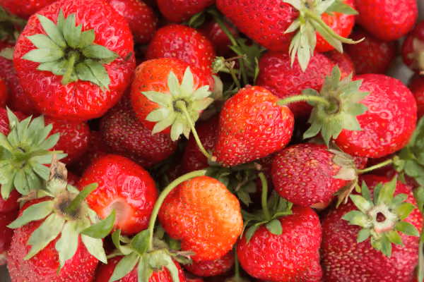 Mengenal istilah strawberry generation dan masalah keuangan yang sering dihadapi
