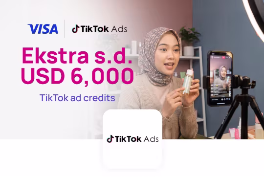 TikTok Ads USD 6000