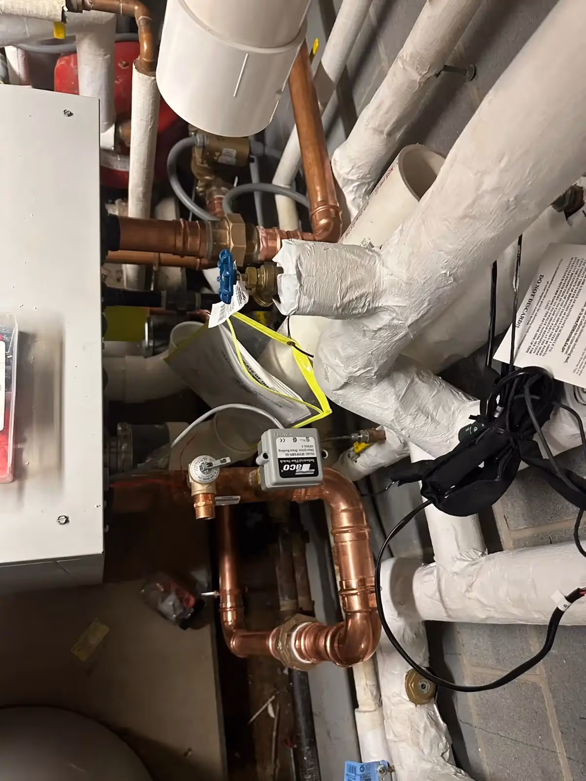 Woman with curly hair looking at computer