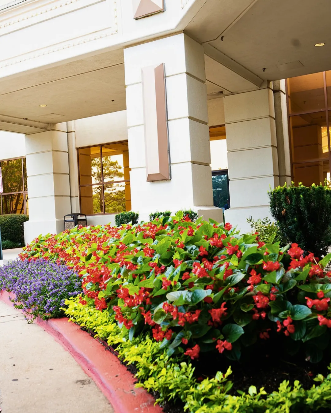 Commercial entrance with red begonias and purple flowers in a curved planting bed
