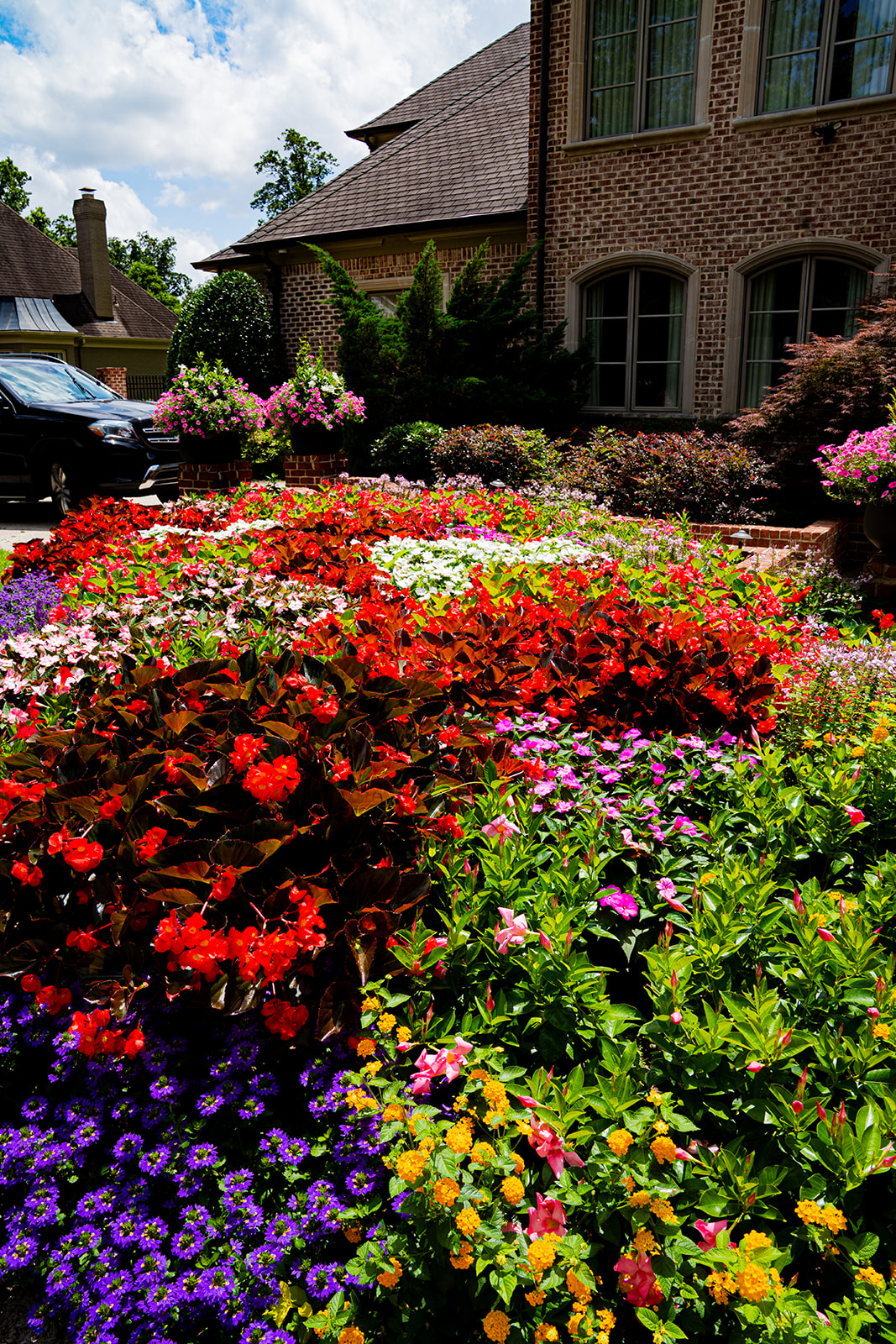 Seasonal color bed of red, pink and purple flowers in front of a home