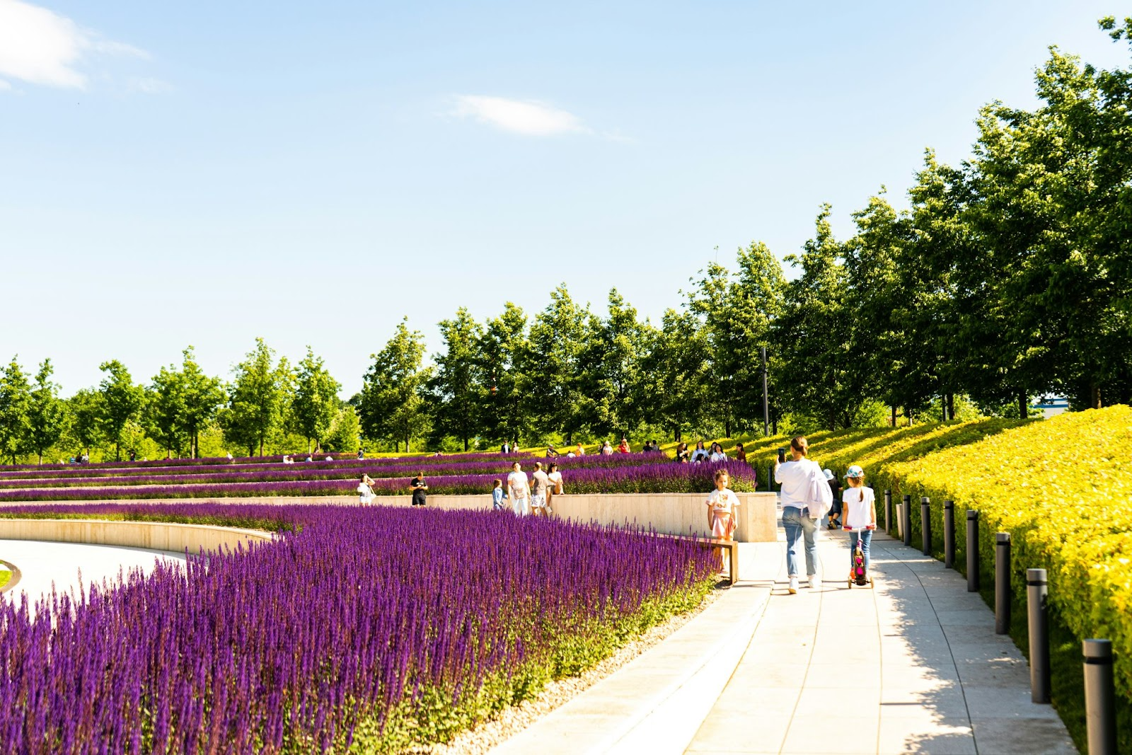 Discover the Best Family & Pet Friendly Parks in Downtown Cincinnati