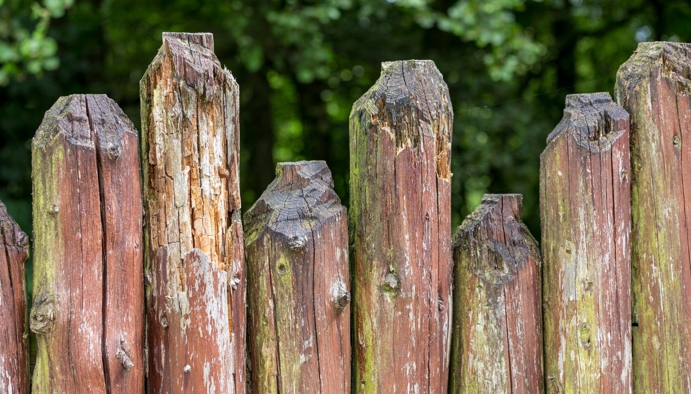 how to save a rotting fence post​