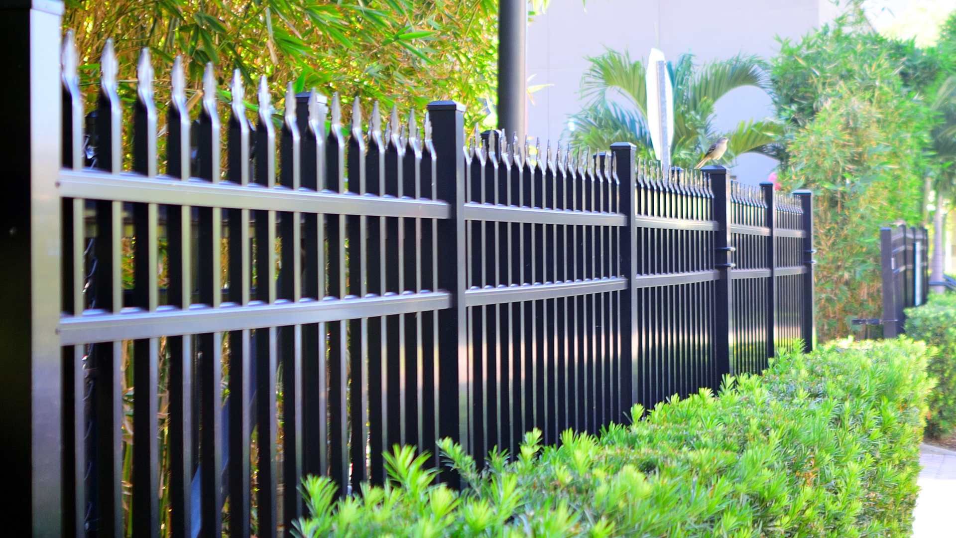 Greenville fence company