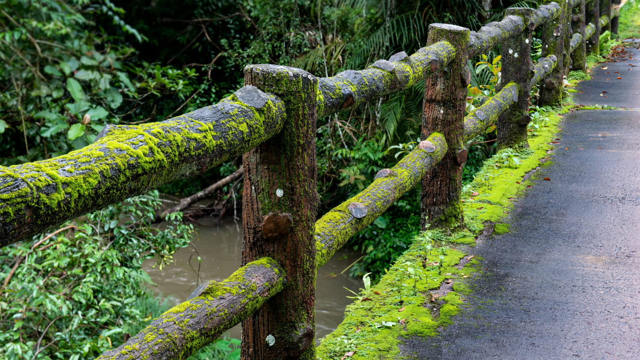 how to remove old fence posts