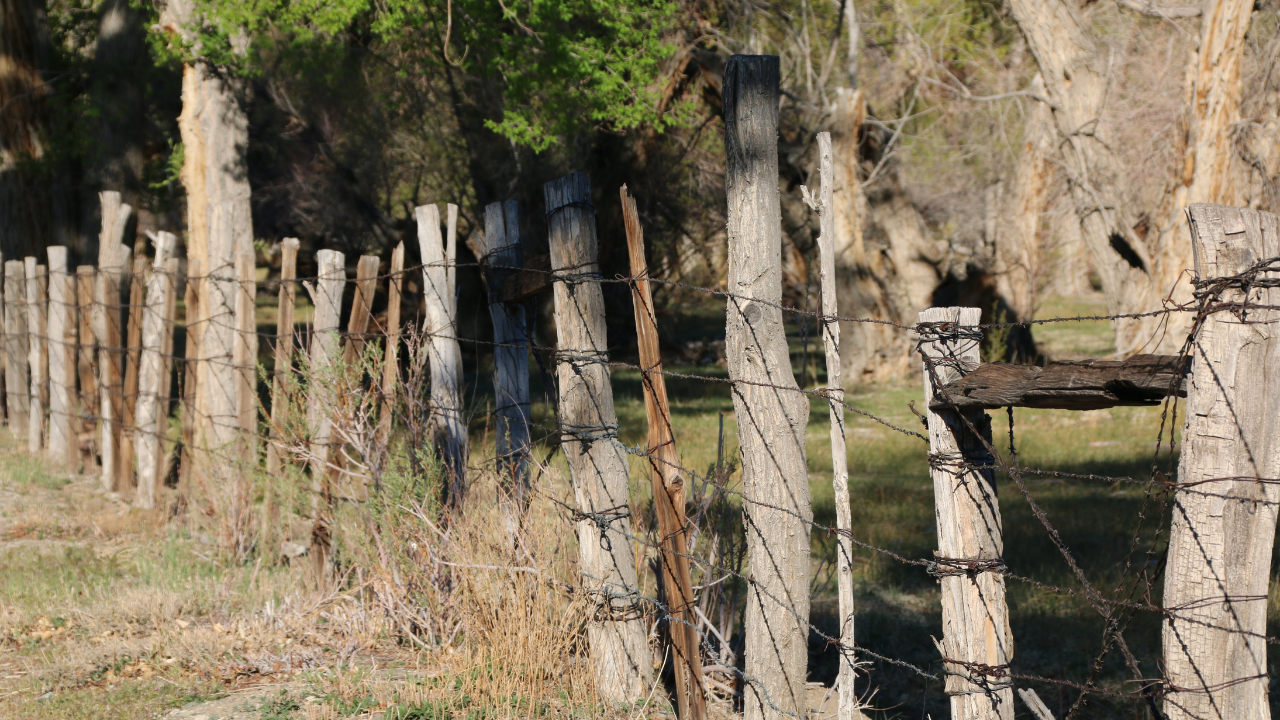 how to remove old fence posts