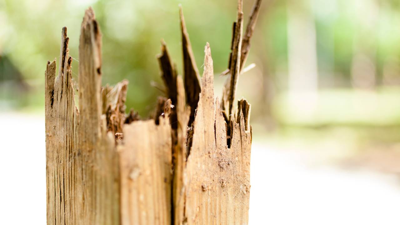 fix rotted fence post