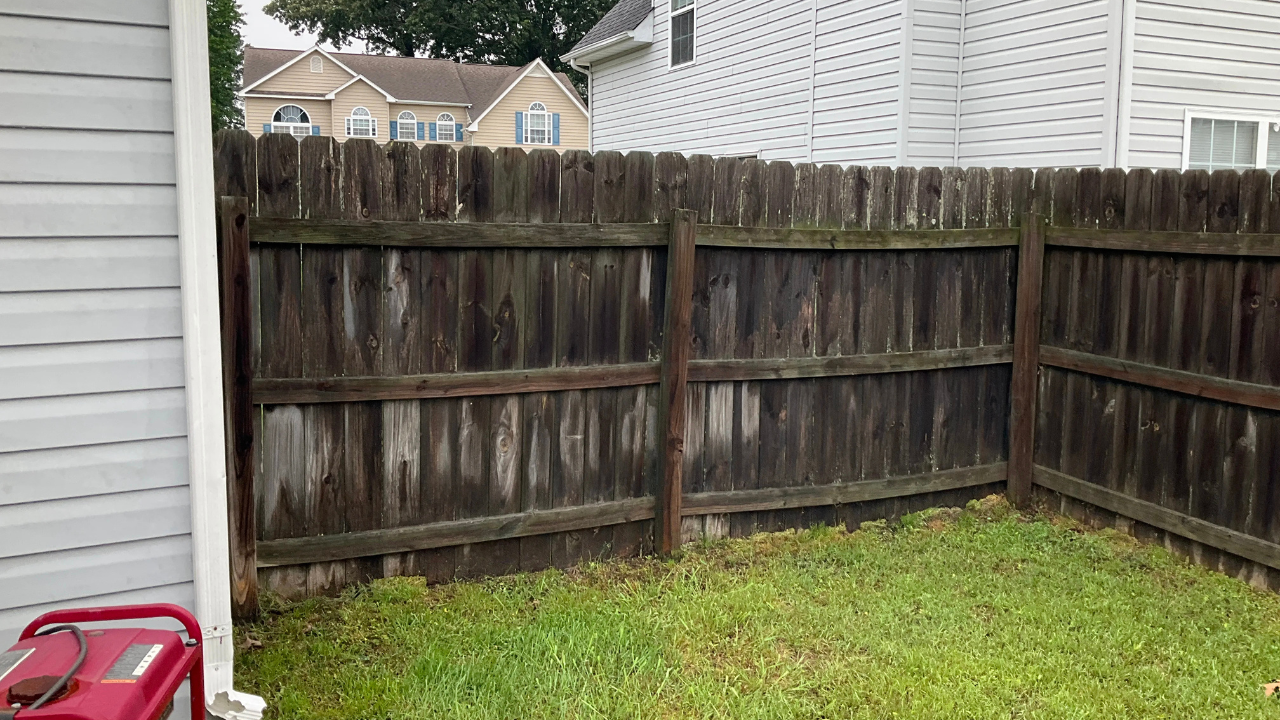 termite damage on fence​