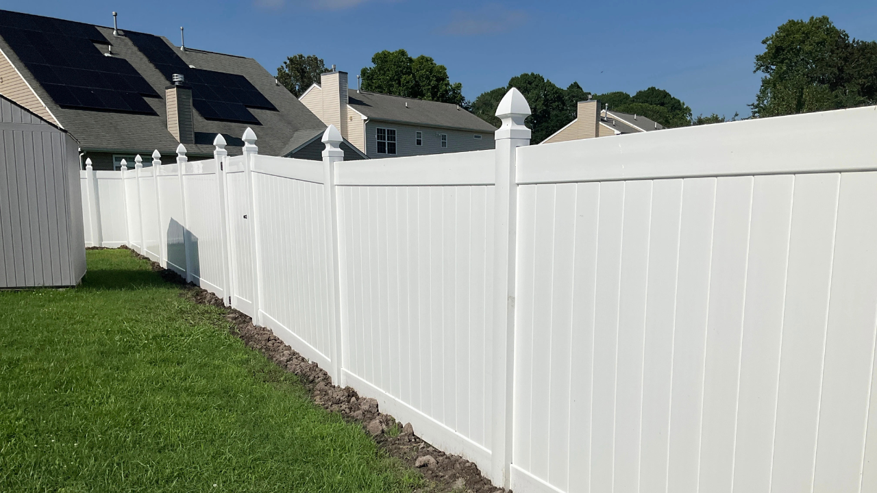 termite damage on fence​