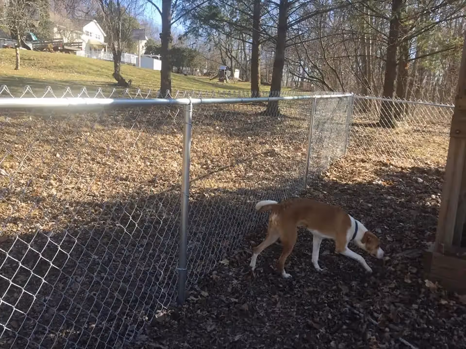 Durable Chain-Link Fencing for Security