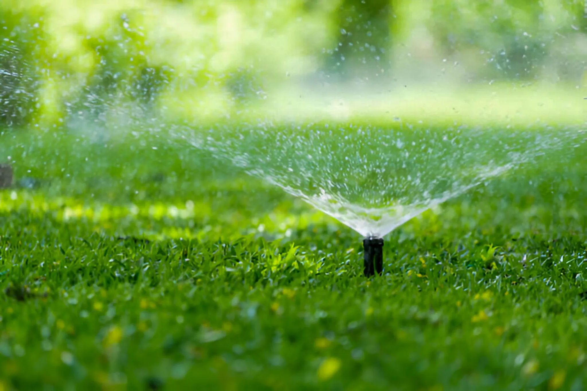 Sprinkler installation and maintenance service keeping a Mansfield, TX lawn watered