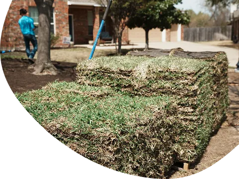 Sod installation in Mansfield, TX with fresh sod ready for a new lawn