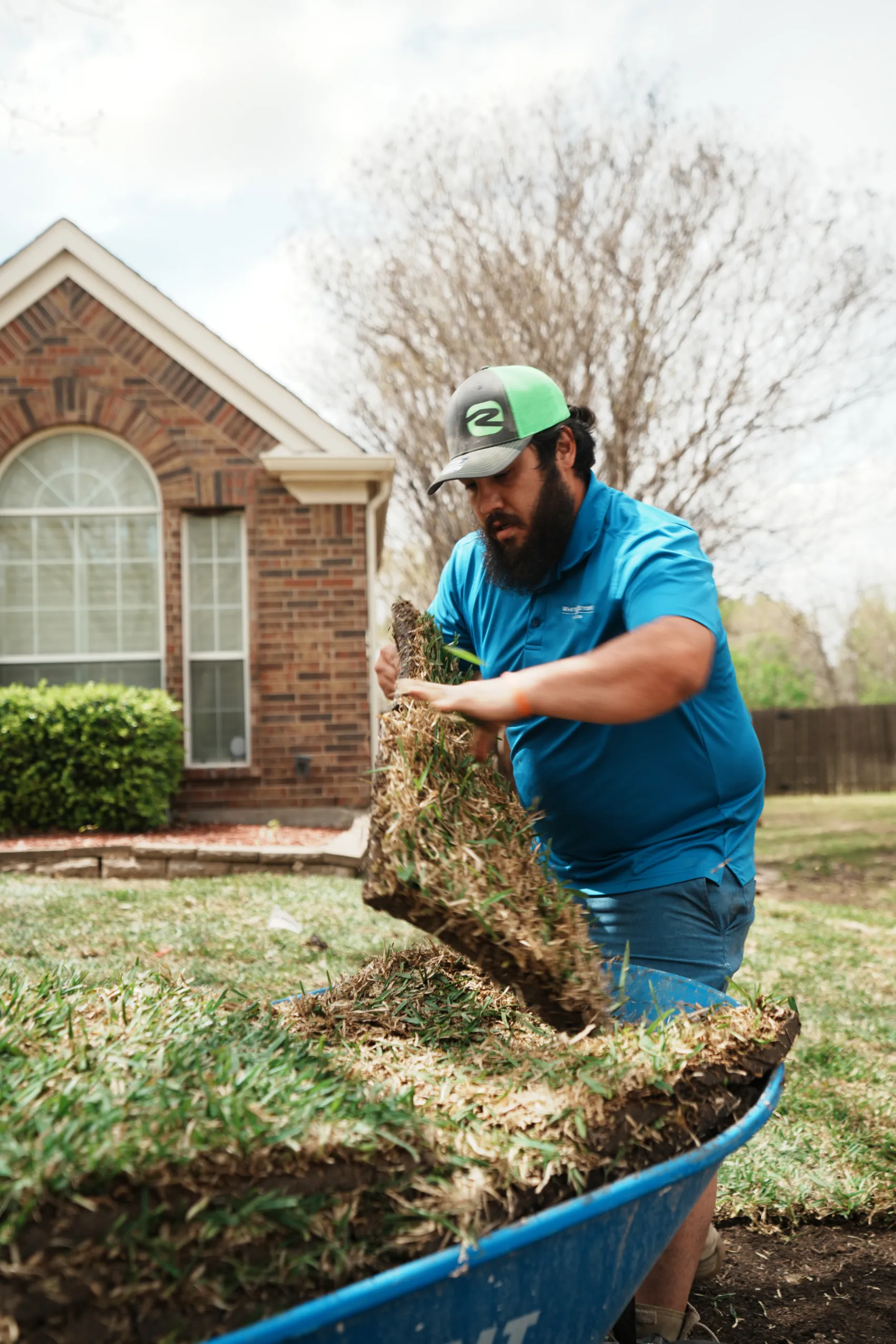 New sod installation in Mansfield, TX with a fresh sod roll being placed
