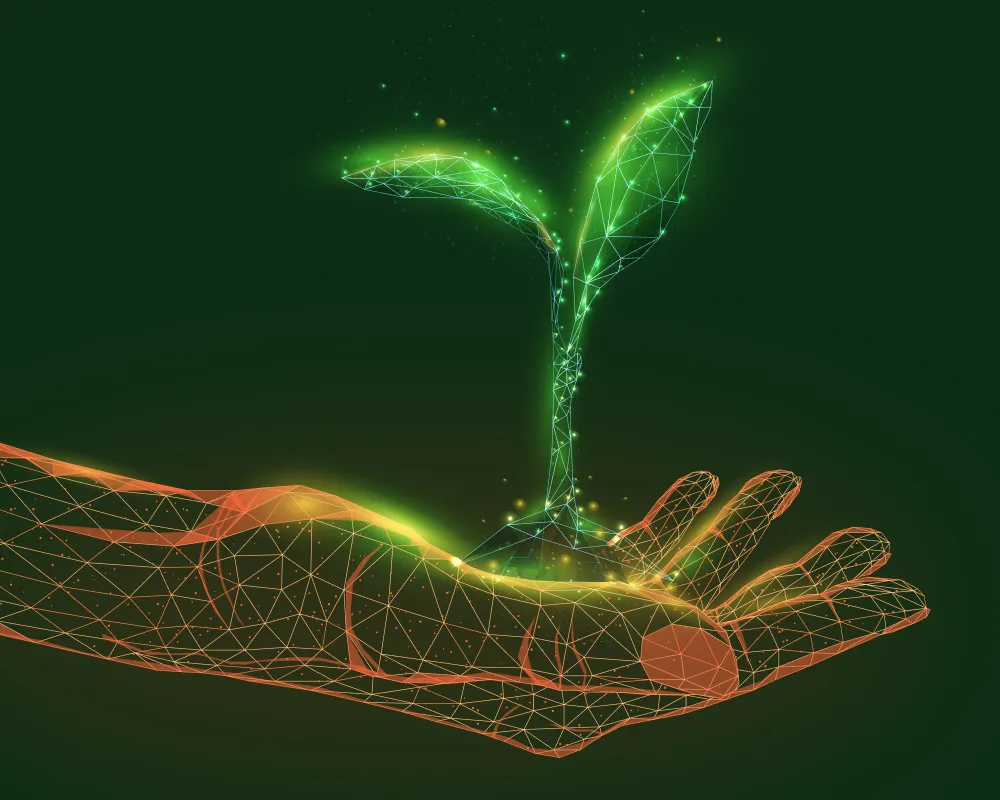 Hand holding a plant (abstract)