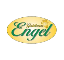 Logo Goldener Engel