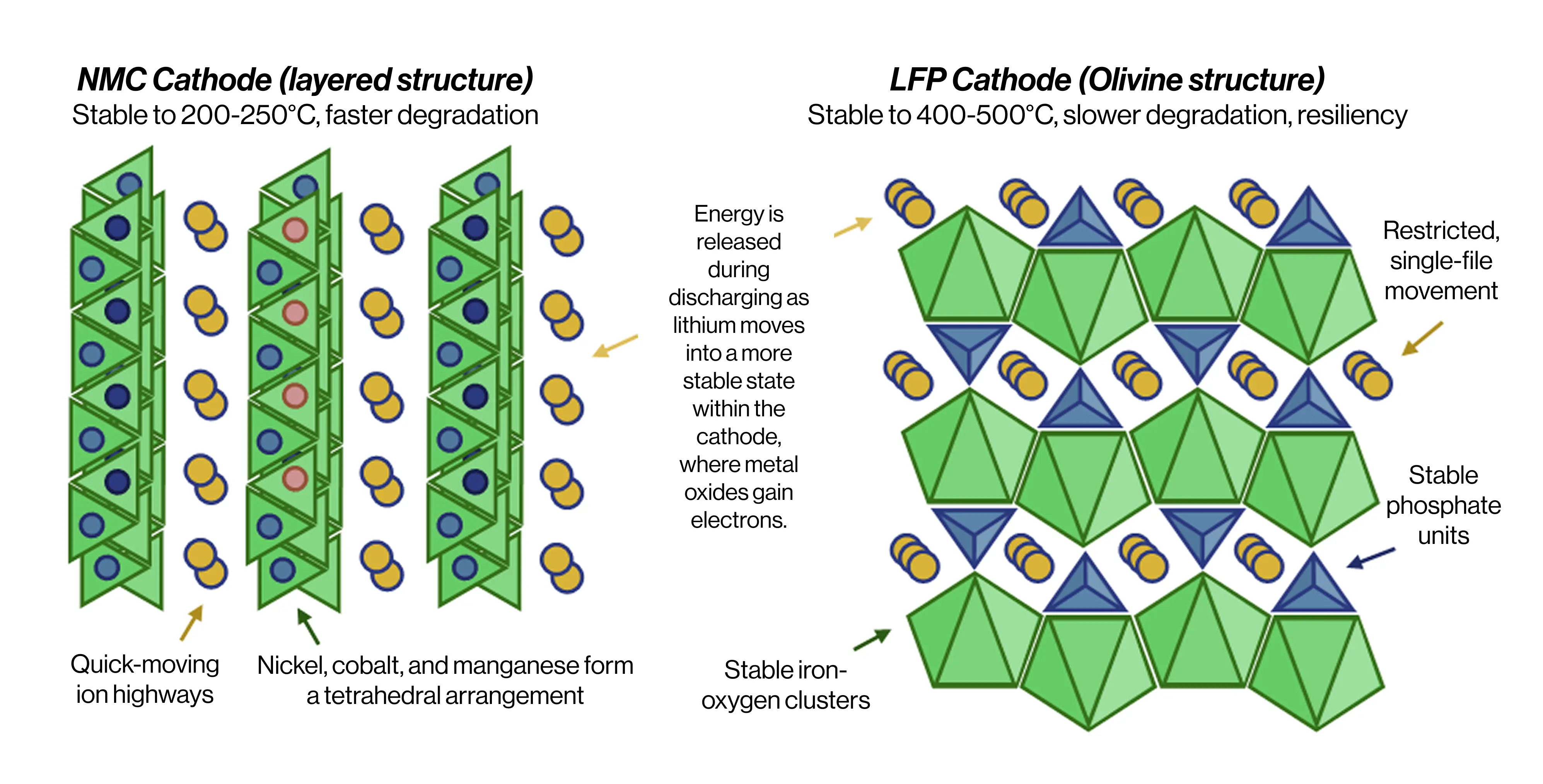 https://cdn.prod.website-files.com/67a093a88a74da4229423b8f/67dd61e886016fea46e9e950_NMC%20and%20LFP%20cathode%20structure%20%281%29.webp