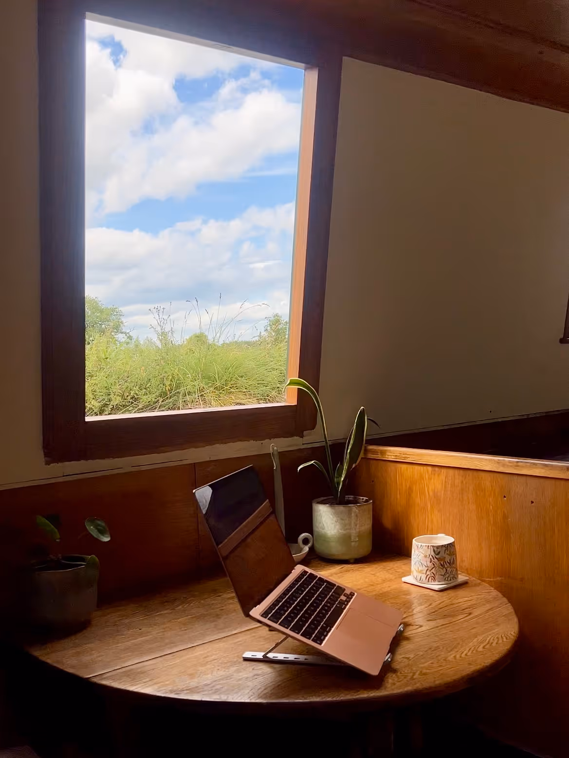 A laptop, plants and coffee mug on a wooden table with an open hatch ad a view out of a narrowboat to the canal.