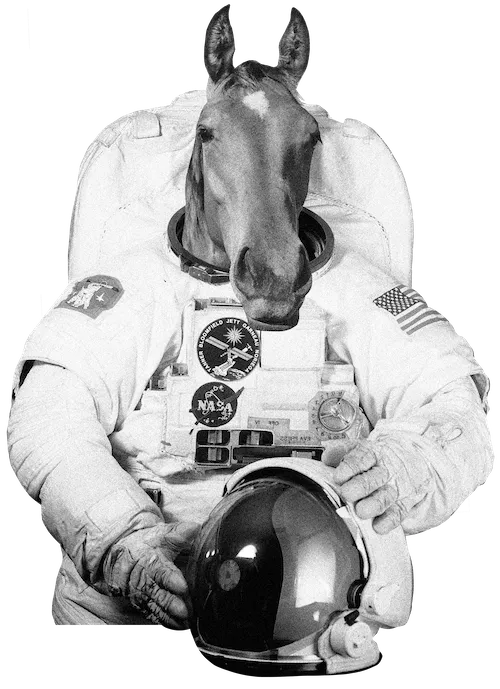 Pferd, das aussieht wie ein Astronaut