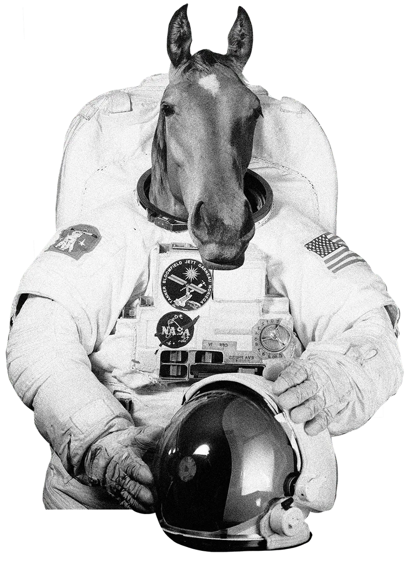 Collage: Pferd im Astronautenanzug
