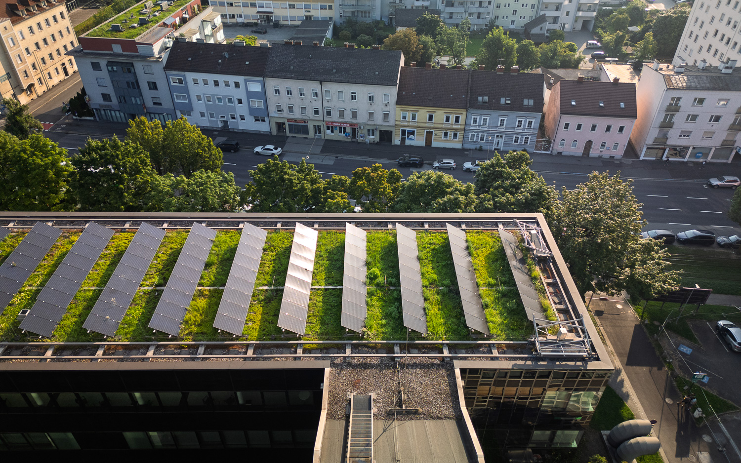 Dach mit einer grünen Dachbegrünung und mehreren Solarpanel-Reihen, im Hintergrund Straße mit parkenden Autos und Wohnhäusern.