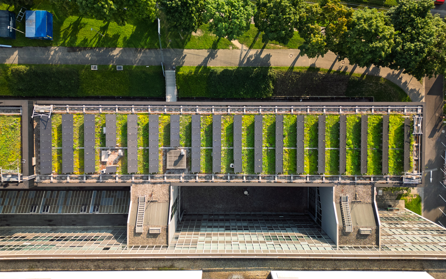 Drohnenaufnahme eines Flachdachs mit Solarpaneelen und begrünten Bereichen, umgeben von Bäumen und einem Gehweg.