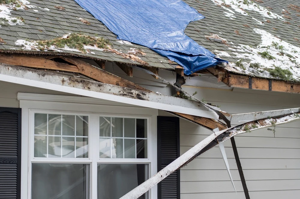 Questions to Ask Potential Contractors