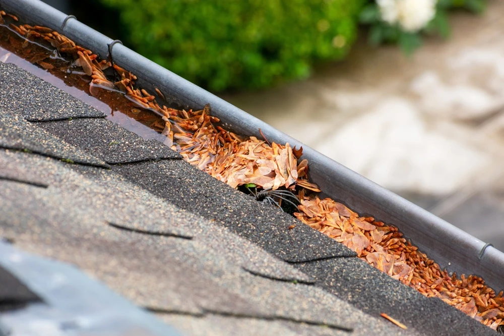 Debris accumulation