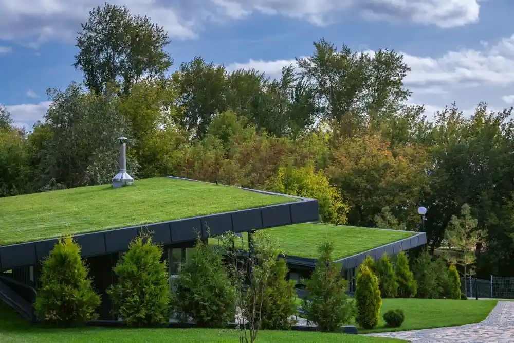 Green Roofs and Living Systems