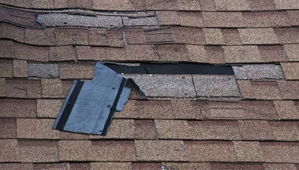 Wind Damage