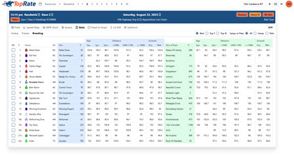 Jockey & Trainer Stats