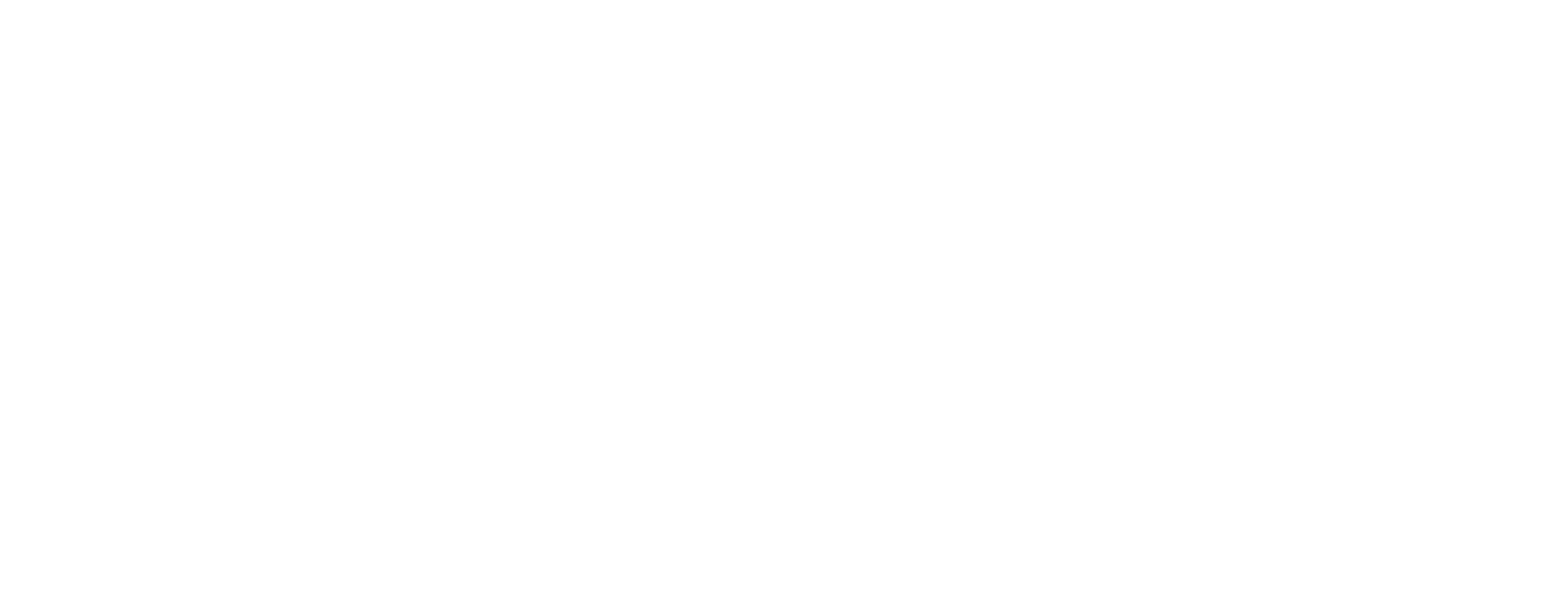 RD American School logo