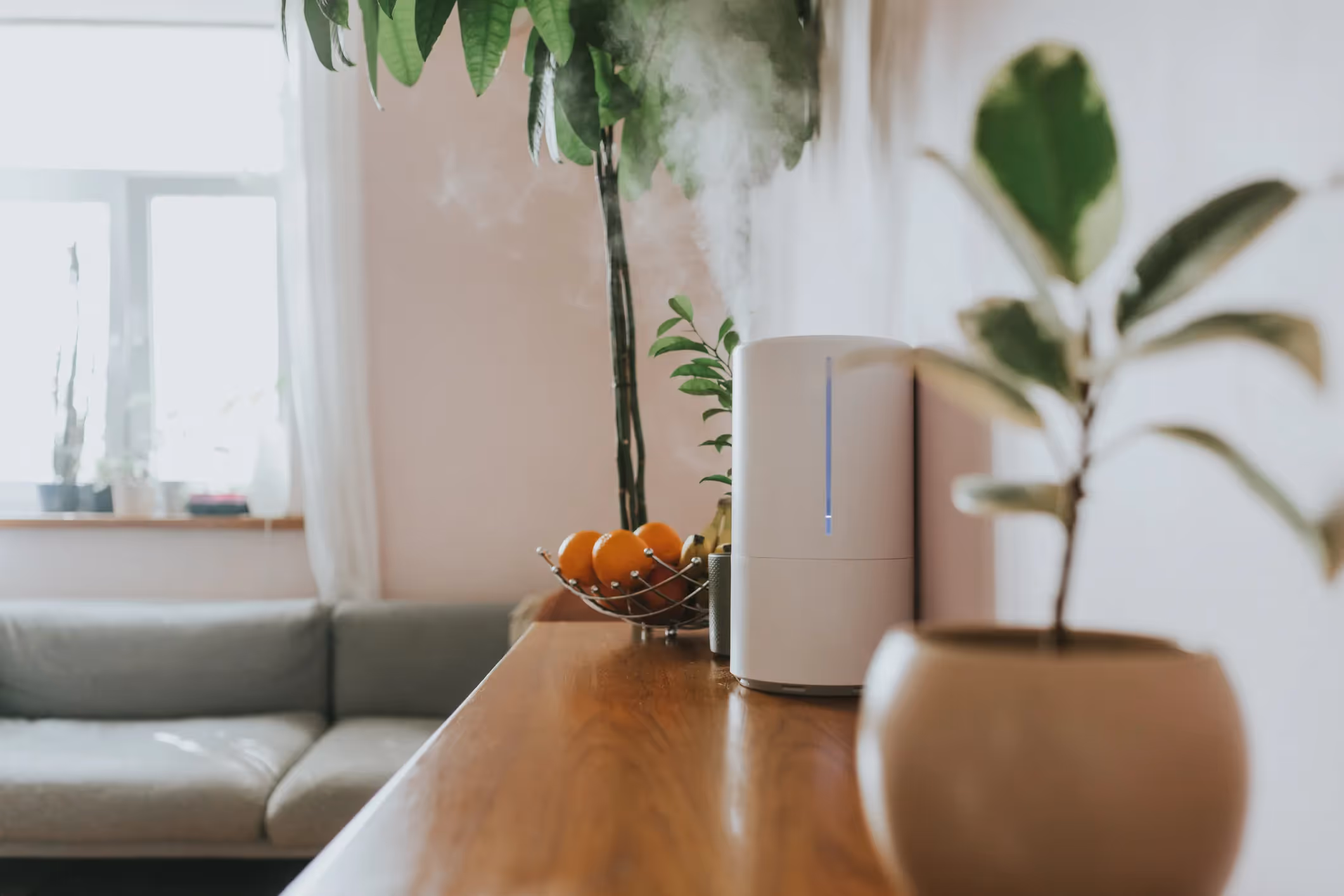 Humidifier on wooden table with oranges and houseplants in cozy living room