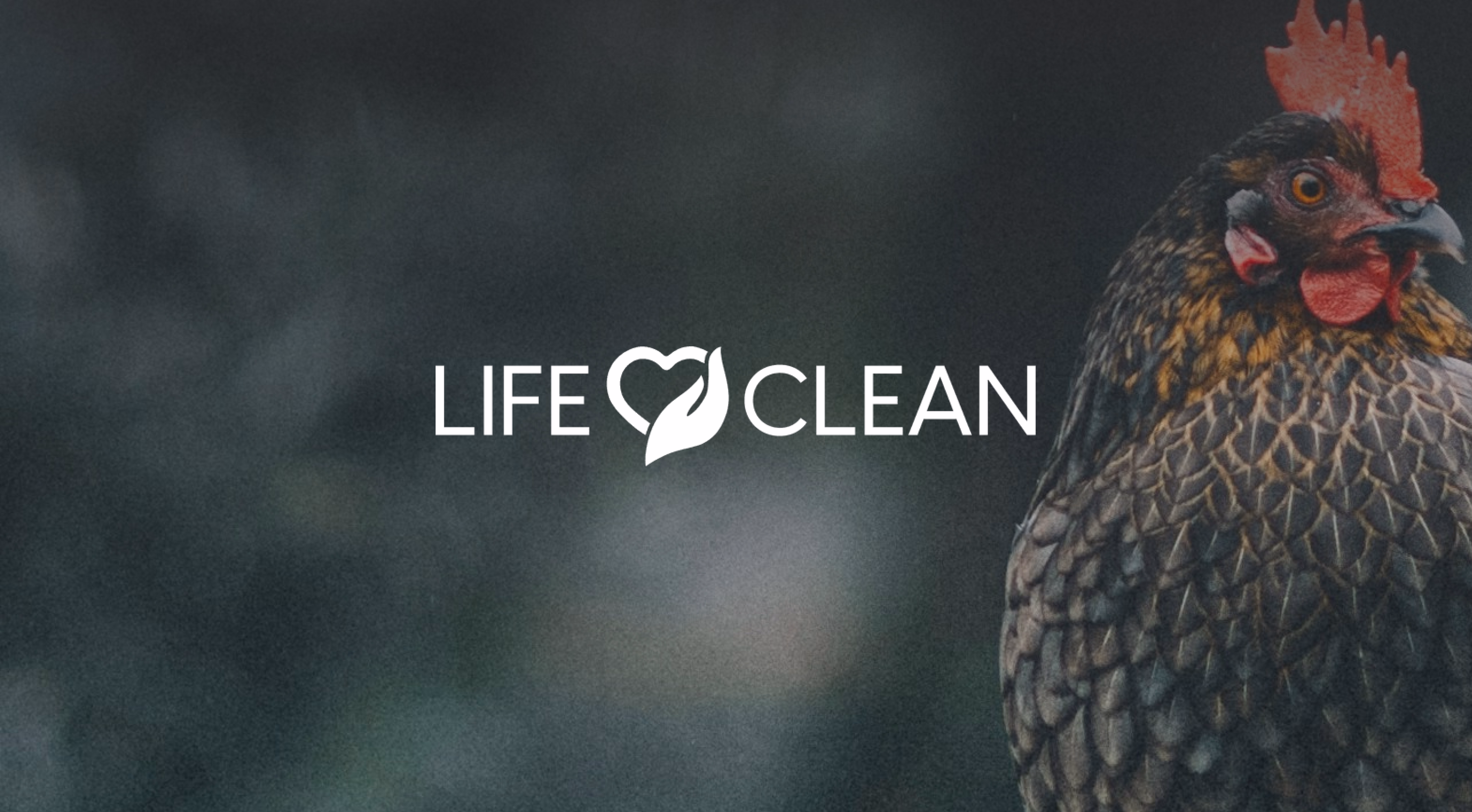 Corpura leads SEK 50 million capital raise for LifeClean International