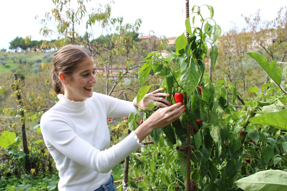 Trattamento viso in cabina con luci soffuse e aromaterapia