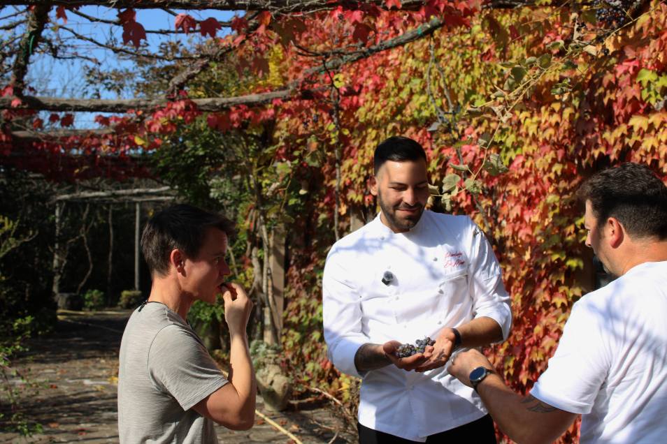 Piscina interna con luci d’atmosfera e dettagli in pietra