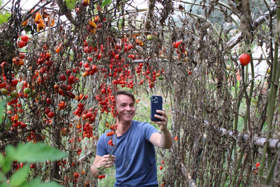 Trattamento viso in cabina con luci soffuse e aromaterapia