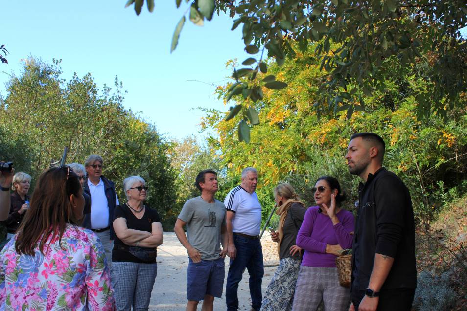 Zona relax con lettini e colonne rivestite in ceramica vietrese