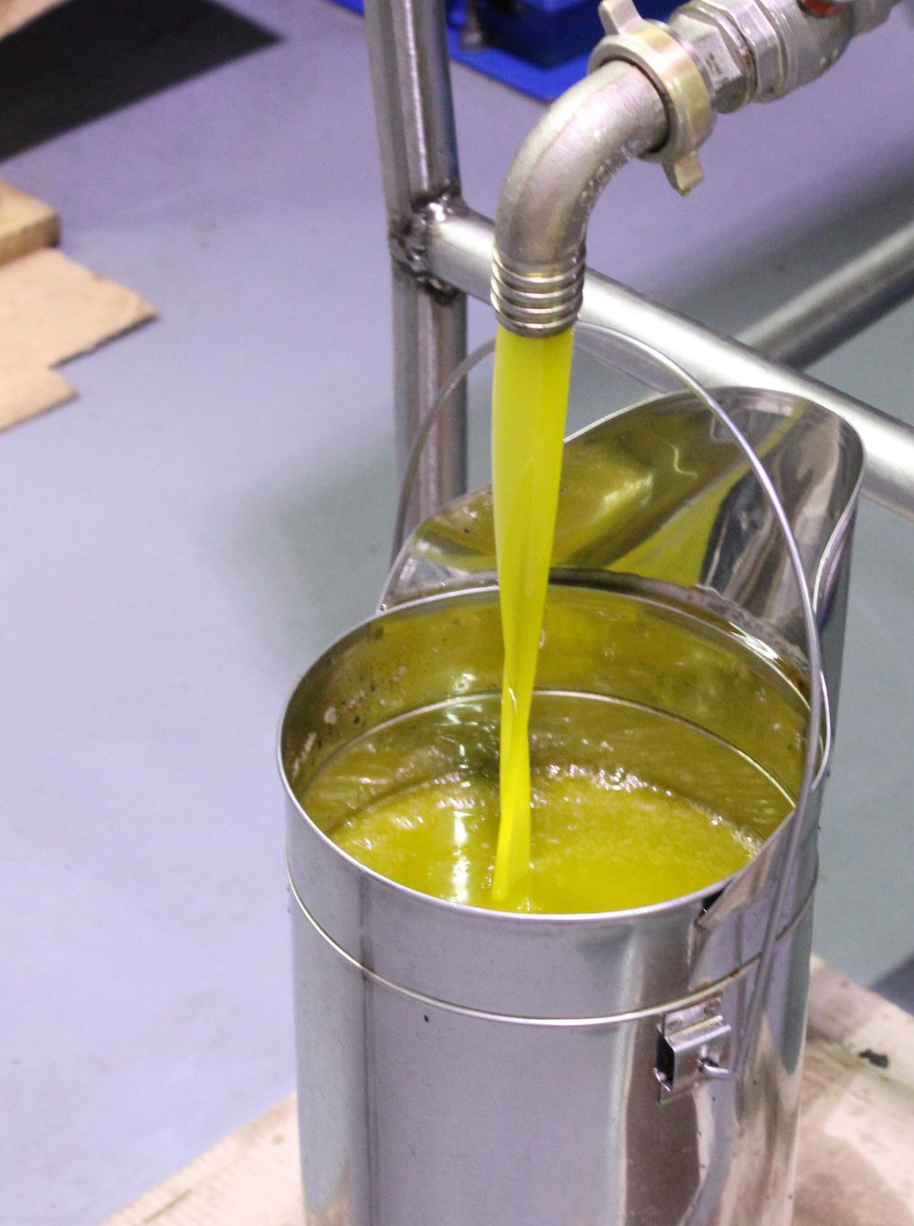 Poster ufficiale “Pollica – Il mare più bello d’Italia 2024”, Legambiente e Touring Club