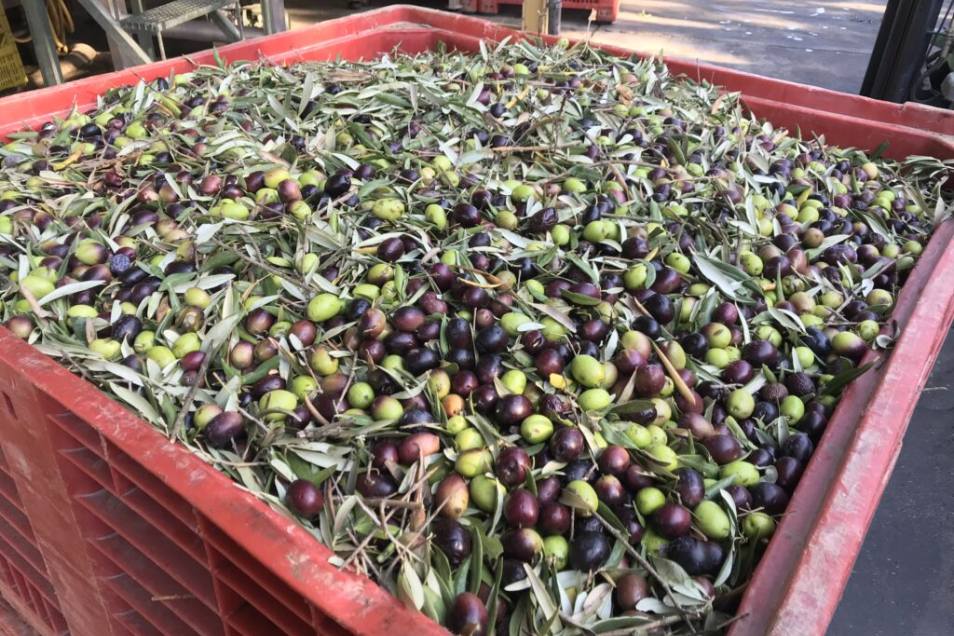 Operatore spa mentre effettua un massaggio manuale rilassante